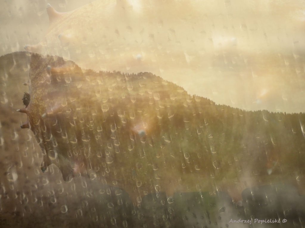 Crossing the Alps 1 - Photo Art Gallery by Andrzej Popielski