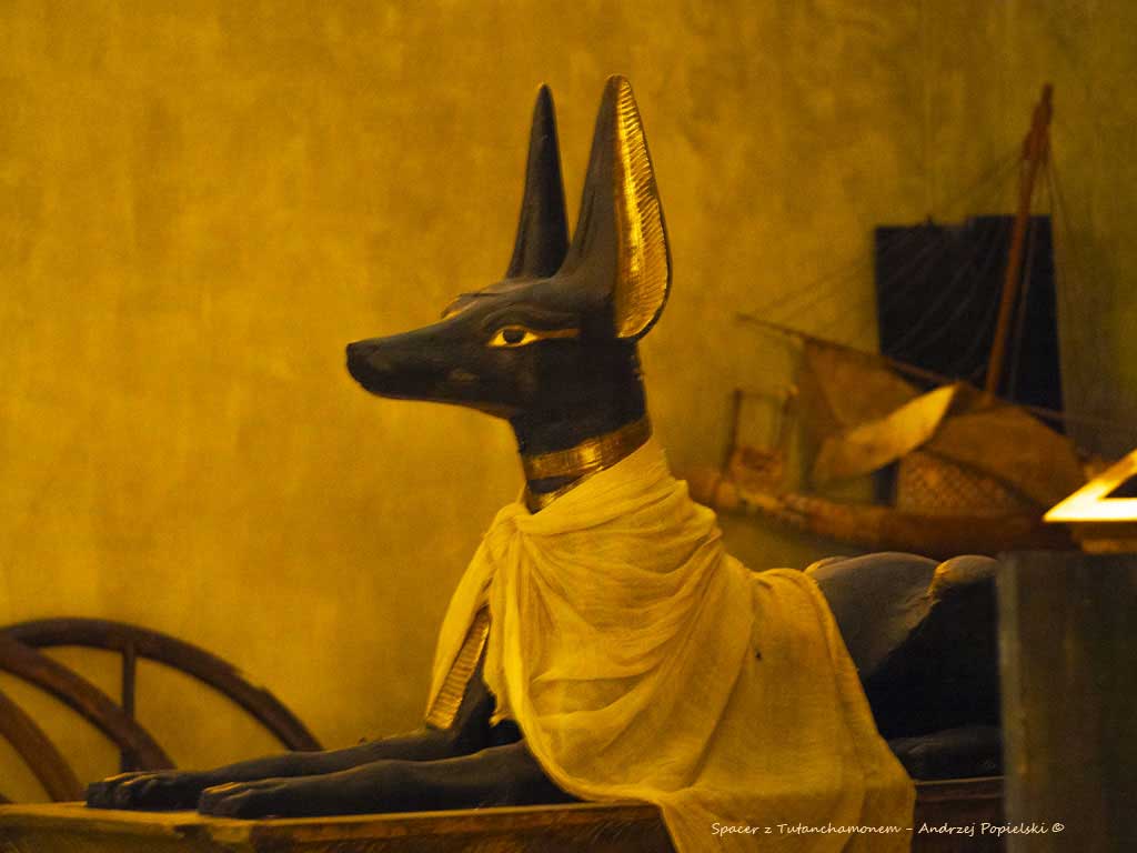 2 Tutankhamun Anubis - Photo Art Gallery by Andrzej Popielski