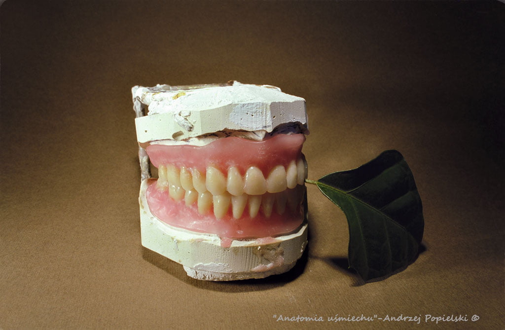 The anatomy of a smile - Photo Art Gallery by Andrzej Popielski
