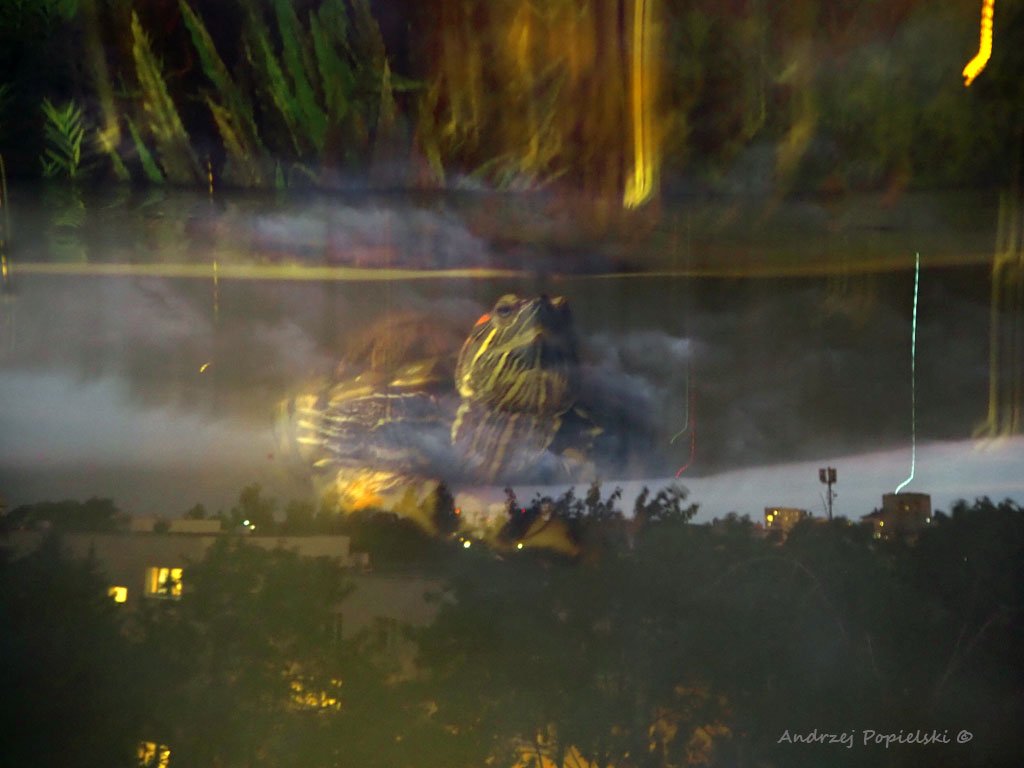Armageddon 2 - Photo Art Gallery by Andrzej Popielski