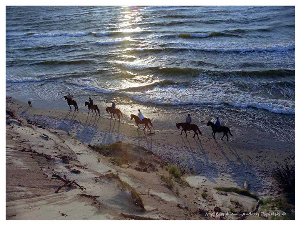 By the Baltic Sea 10 - Photo Art Gallery by Andrzej Popielski