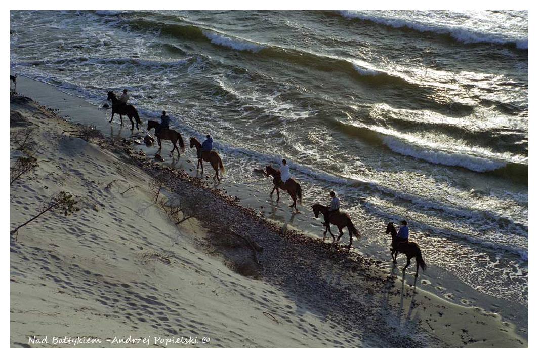 By the Baltic Sea 11 - Photo Art Gallery by Andrzej Popielski