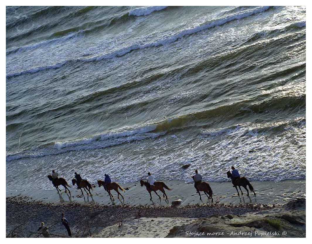 By the Baltic Sea 12 - Photo Art Gallery by Andrzej Popielski