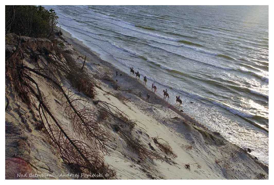 By the Baltic Sea 13 - Photo Art Gallery by Andrzej Popielski