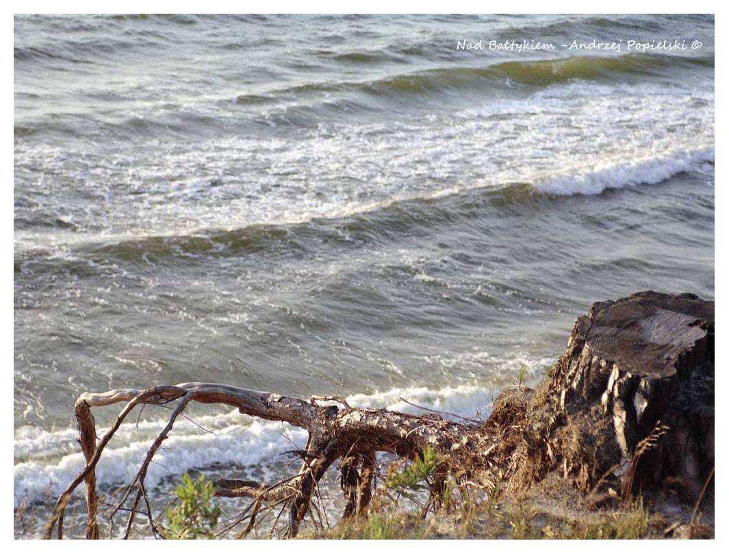 By the Baltic Sea 6 - Photo Art Gallery by Andrzej Popielski
