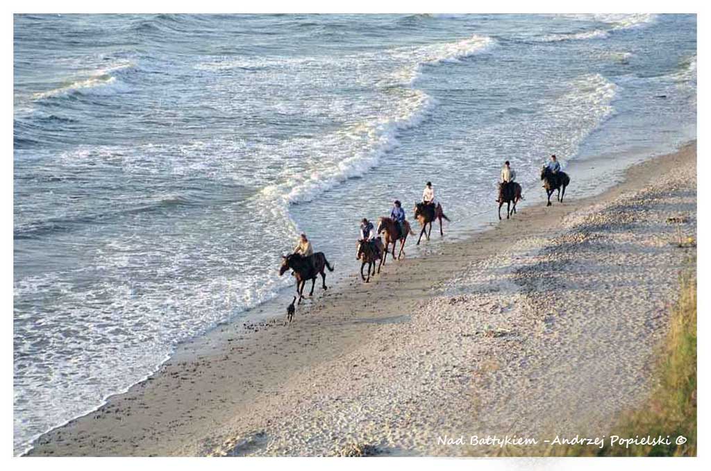 By the Baltic Sea 8 - Photo Art Gallery by Andrzej Popielski