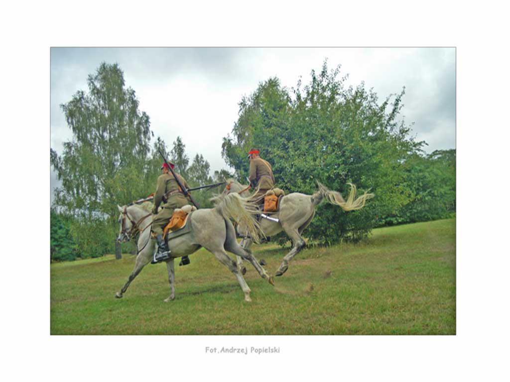 Cavalry 24 - Photo Art Gallery by Andrzej Popielski