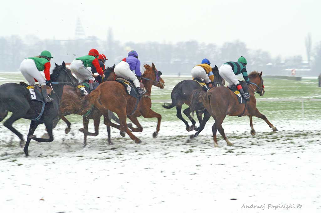 Winter horse racing 12 - Photo Art Gallery by Andrzej Popielski